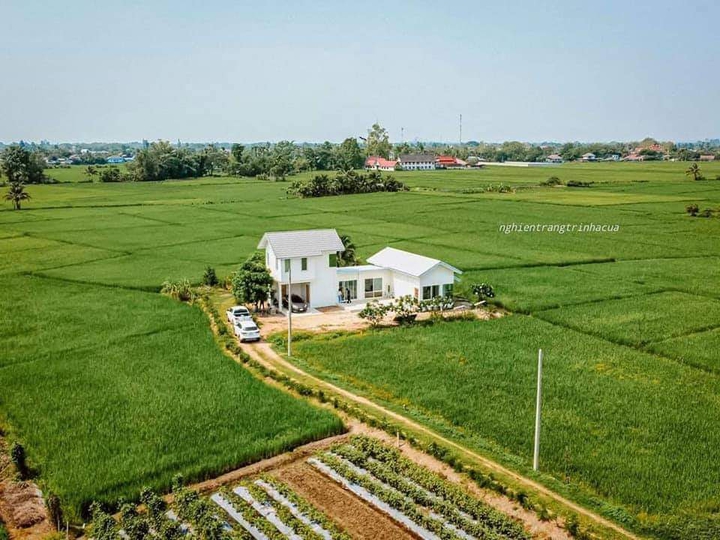Dream House