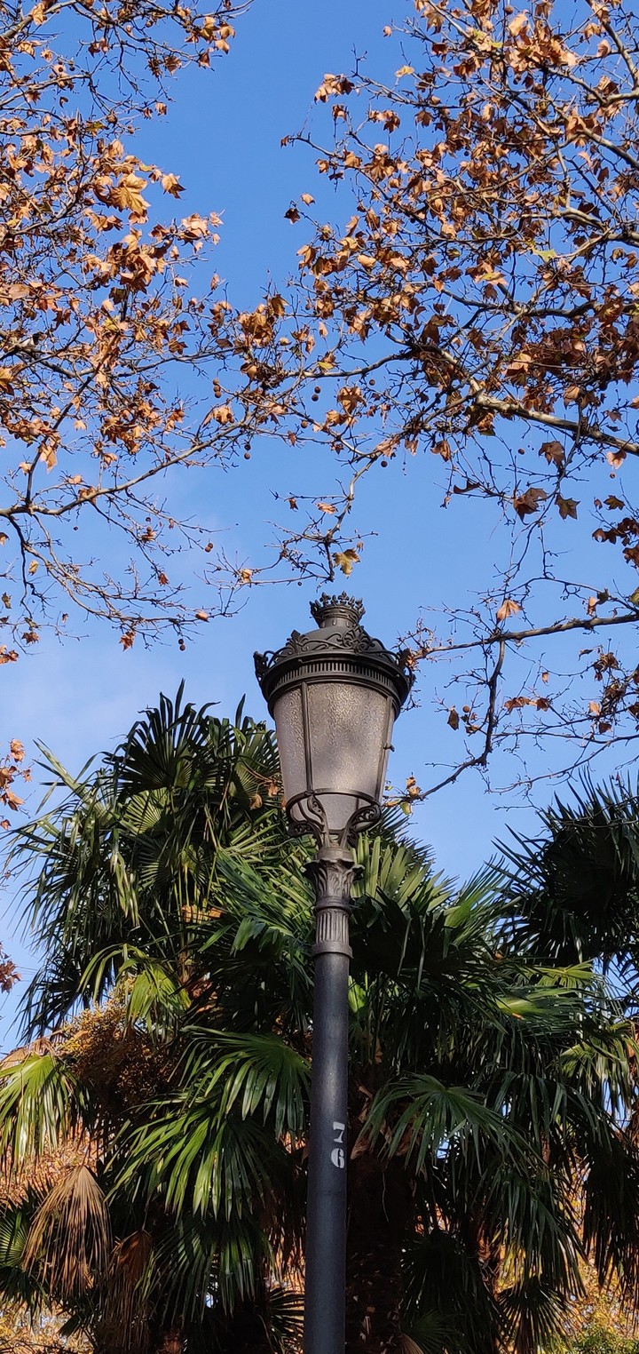 Lamp post