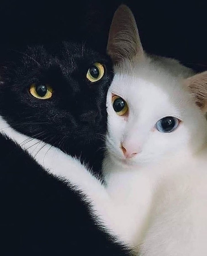 ❤️