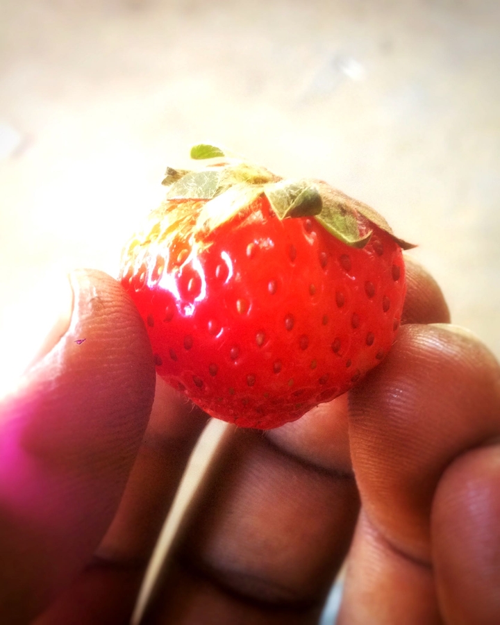 strawberry 