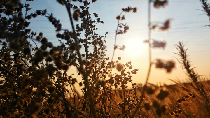Morning silence
