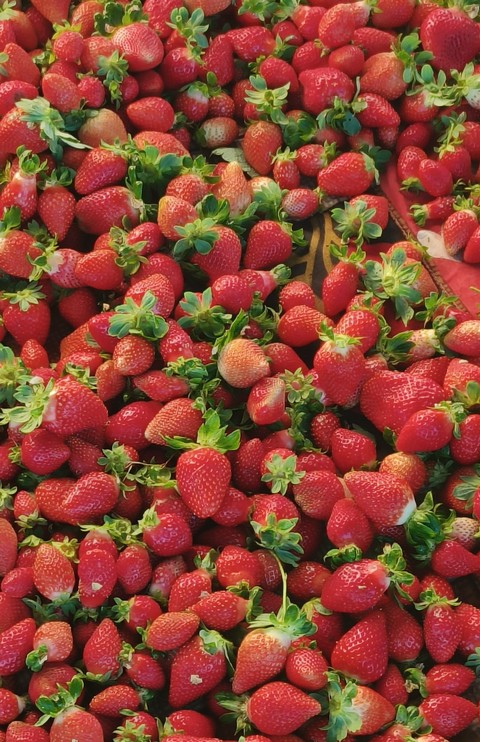fonds d'écran superfood, produce