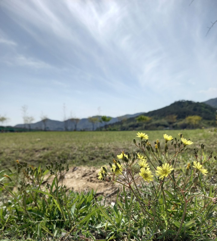 2021년 4월 10일 토요일 황산공원에서