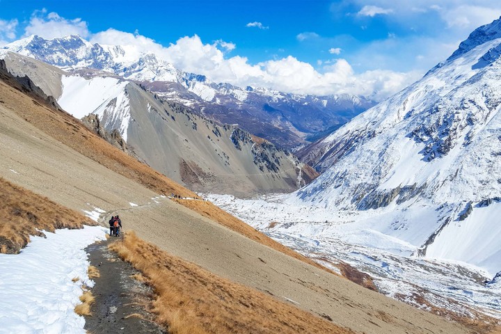 himalayan