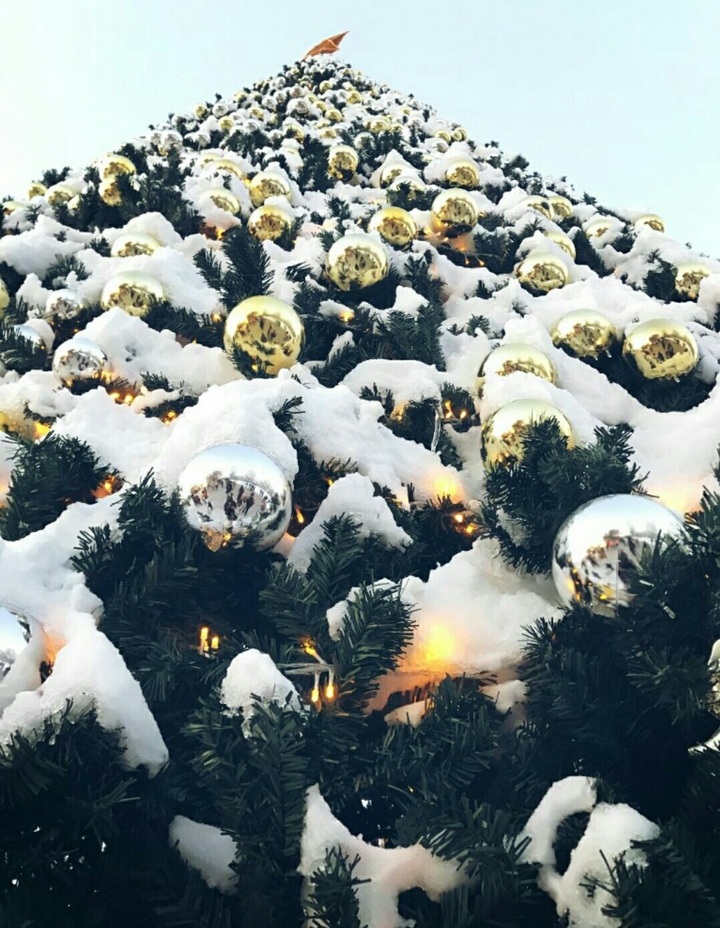 X mas treE