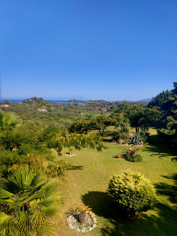 garden