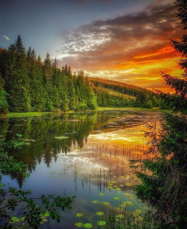 Norway...