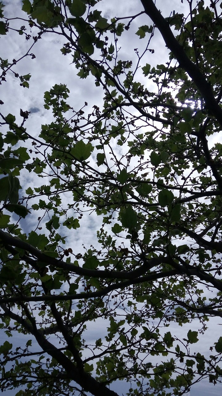 a walk in the park
