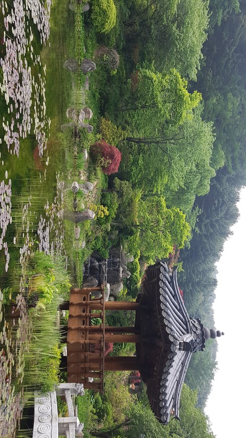 연못