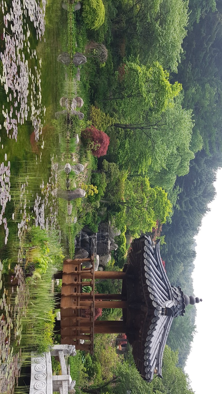 연못
