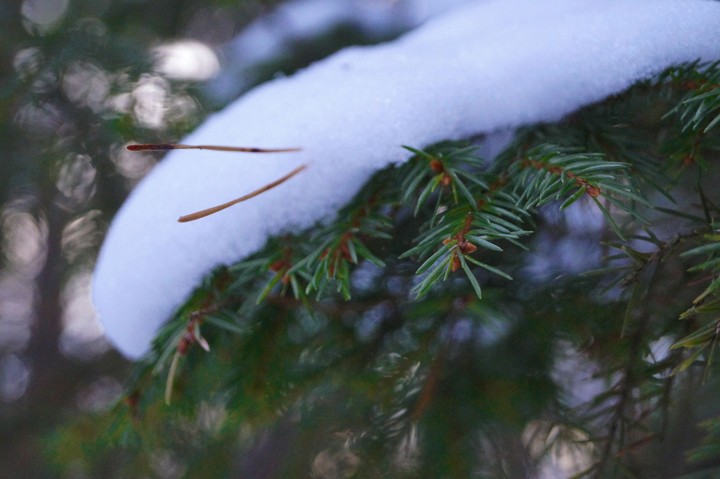 winter