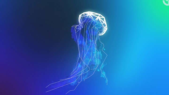 jellyfish