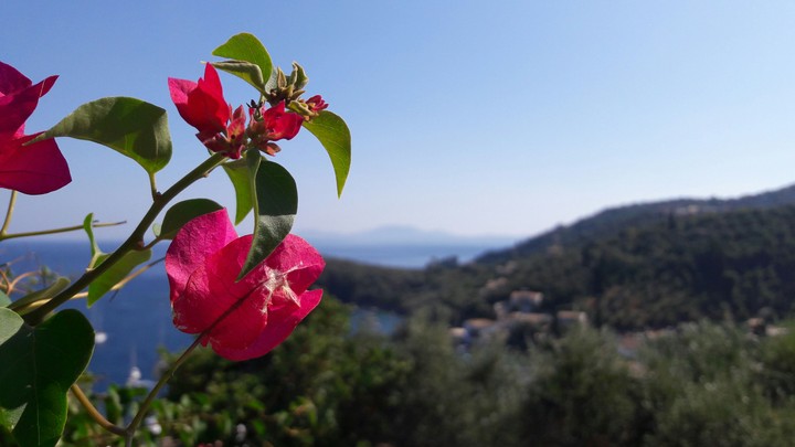 View in Corfu