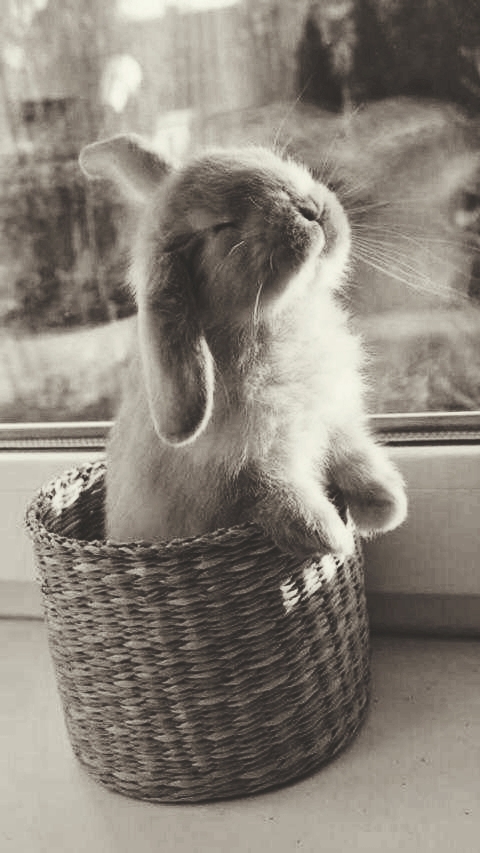 cute