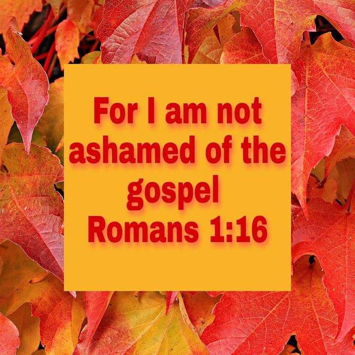 ROMANS 1:18