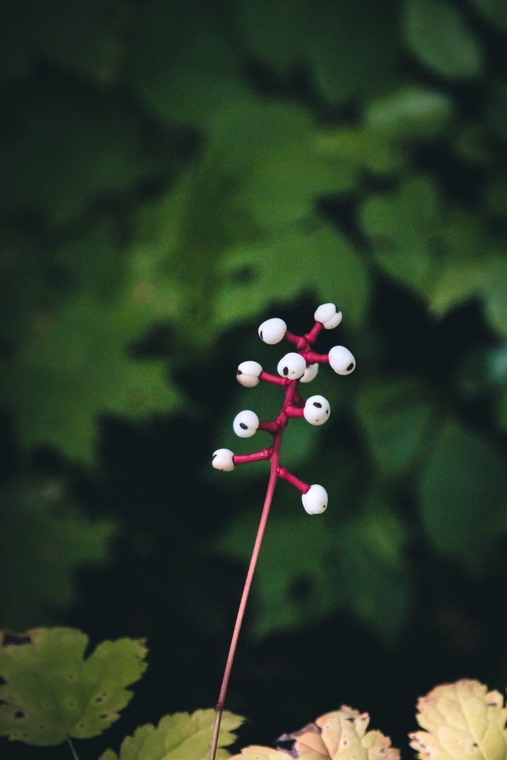 Nature