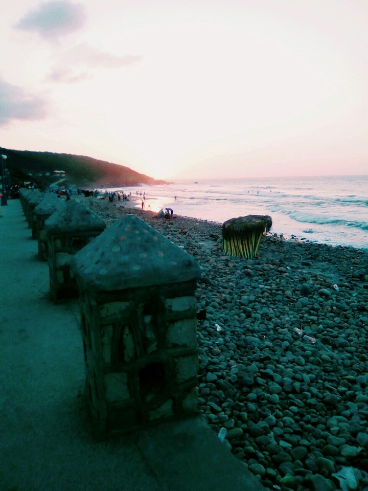 Cochet Soleil à coolo Algérie