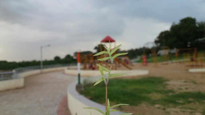 A park near Sea