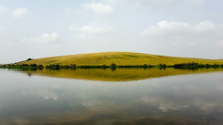 beauty of nature