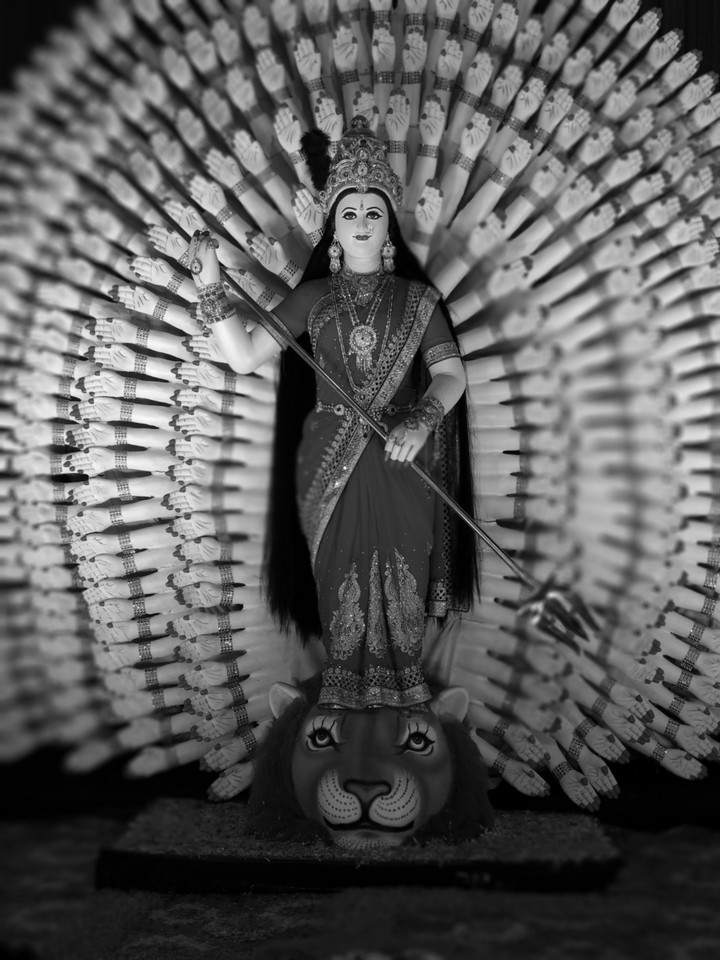 Maa