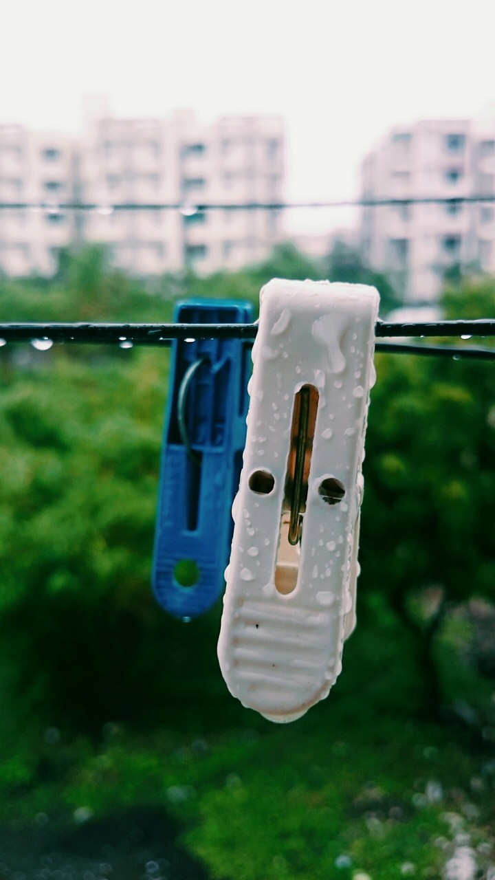 clips