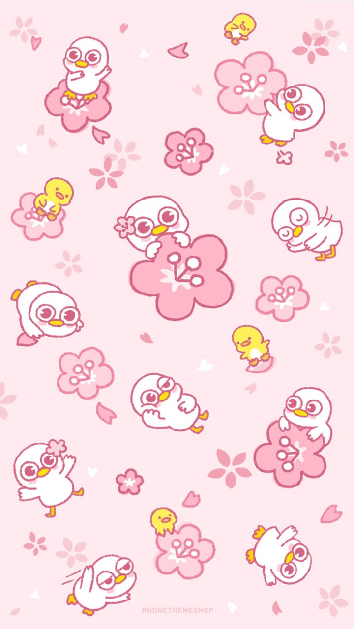cherry blossoms