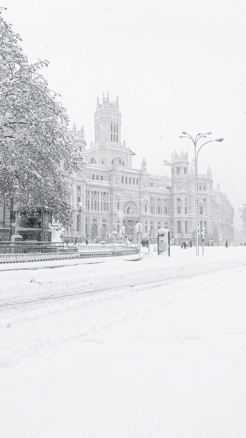 ταπετσαρίες monochrome, winter