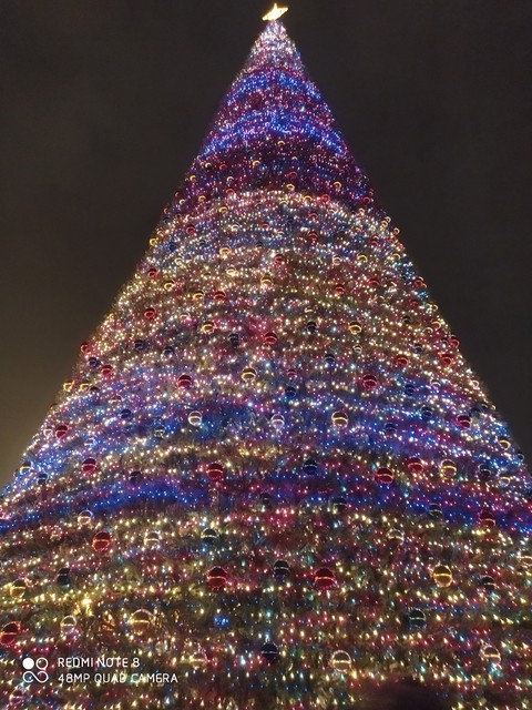 Christmas_tree in Yerevan