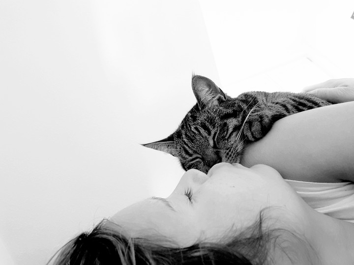 love my cat