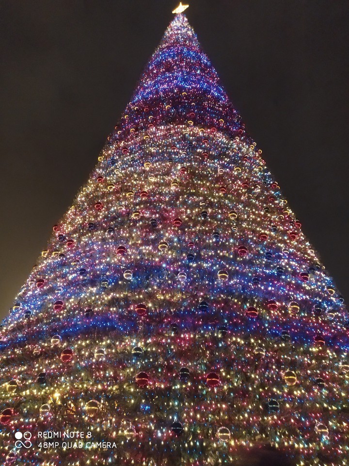Christmas_tree in Yerevan