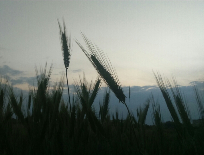 гарно