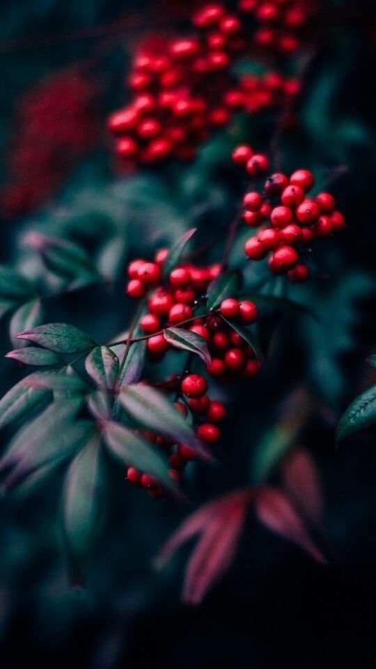 something small, red :)