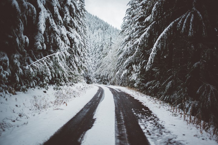 White winter