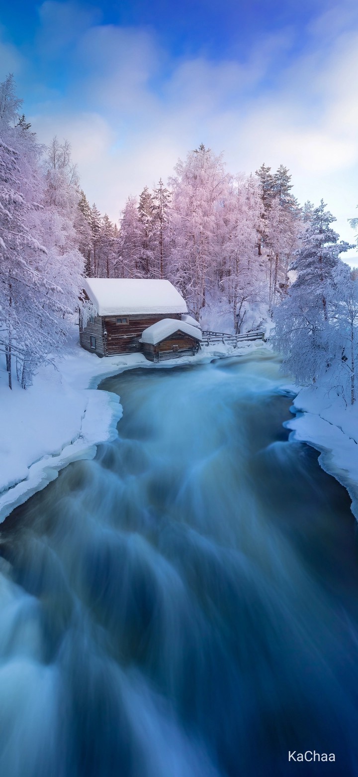 Frost