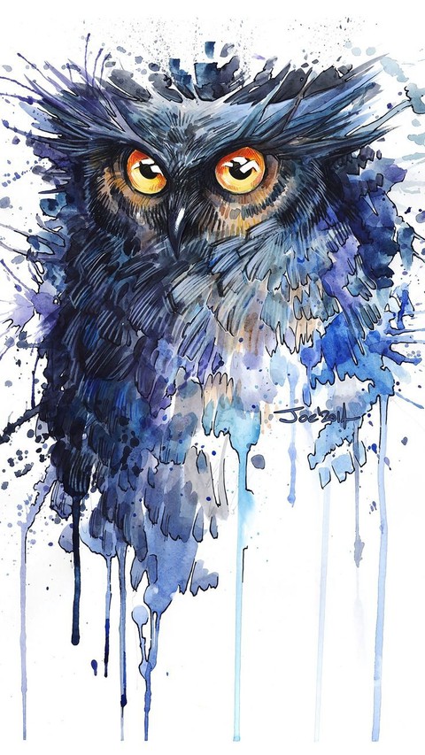 owl