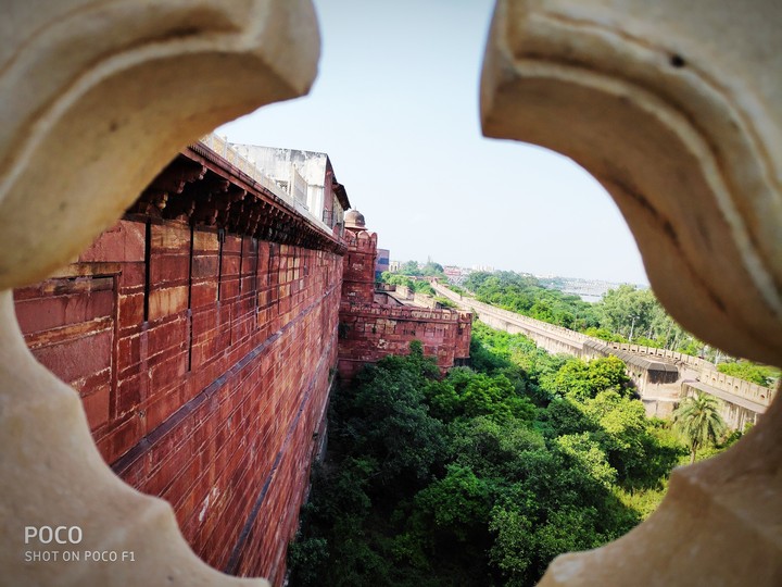 agrafort