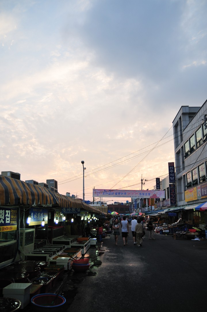 Scenics