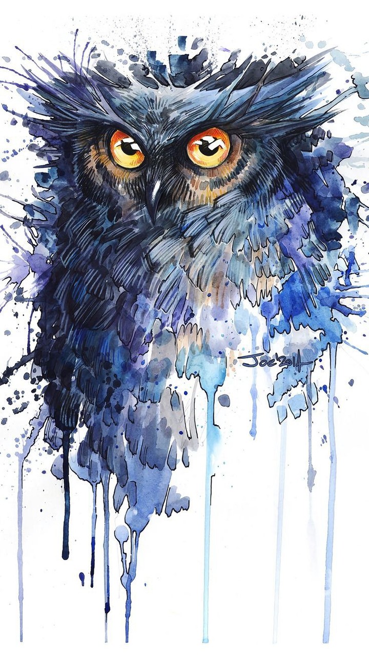 owl