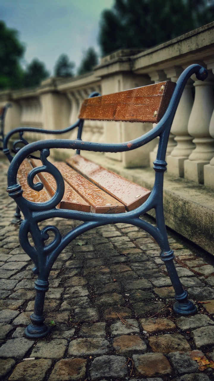 bench