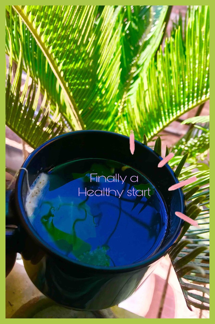 a fresh and healthy start
