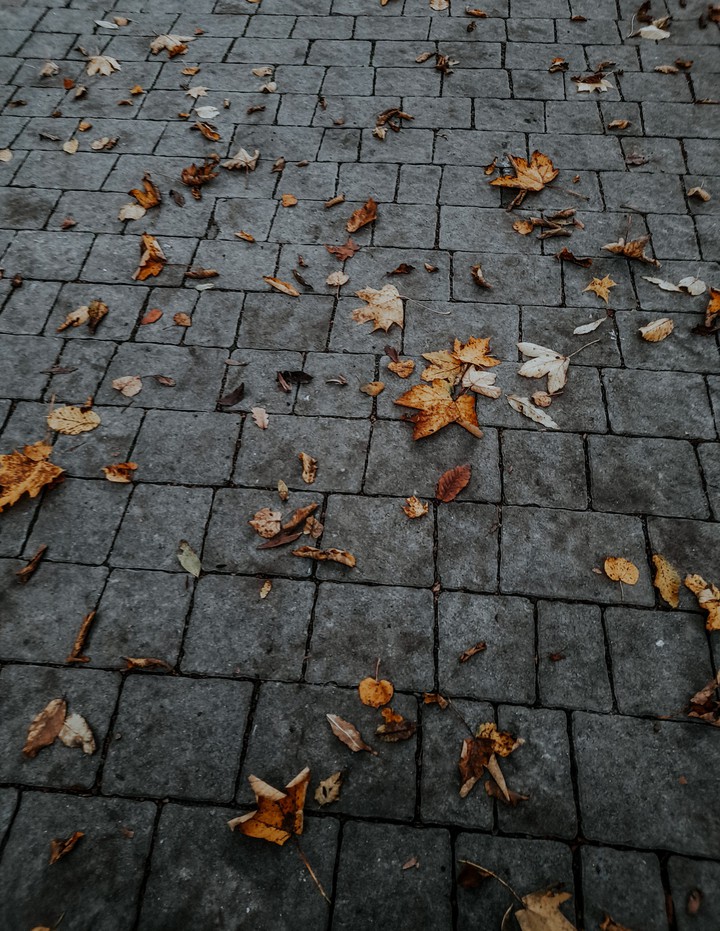 leafs