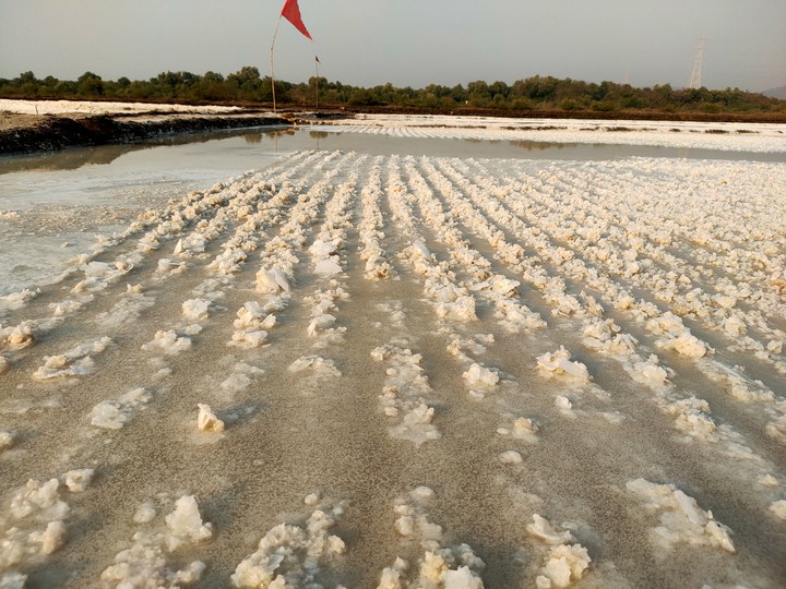 Salt pan