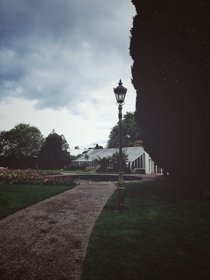garden