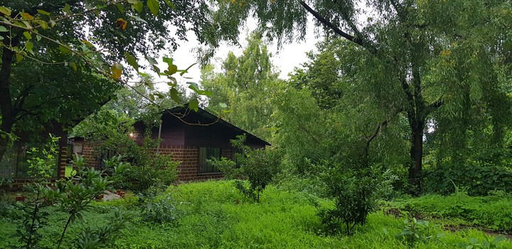 Kolad