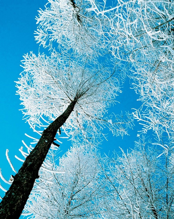 Clear sky