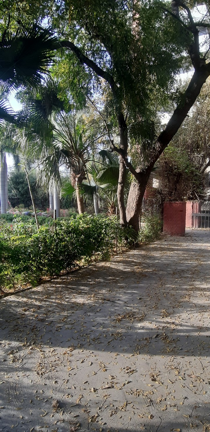 department of Music