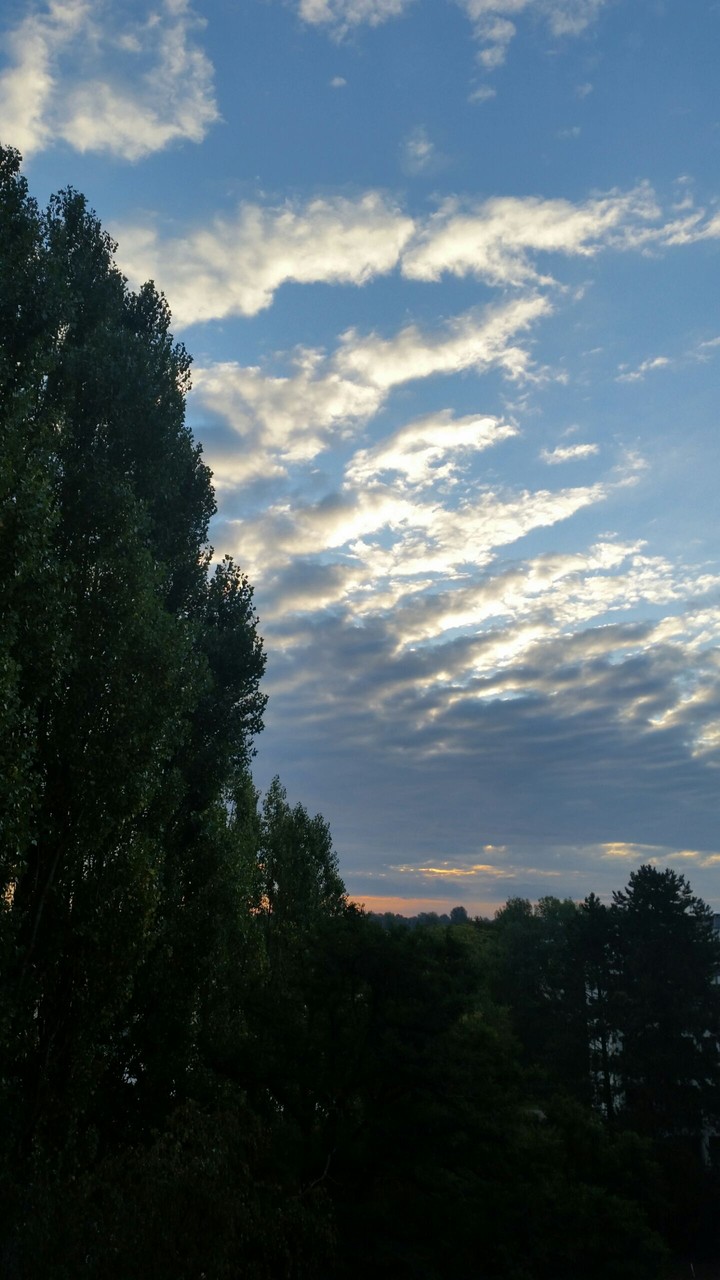 evening sky after rain
