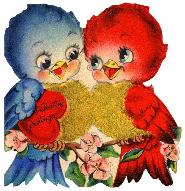 Amor