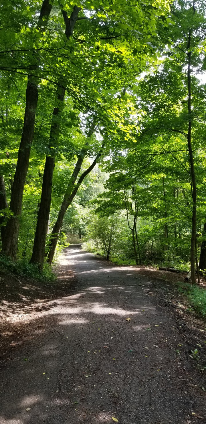 path to happiness