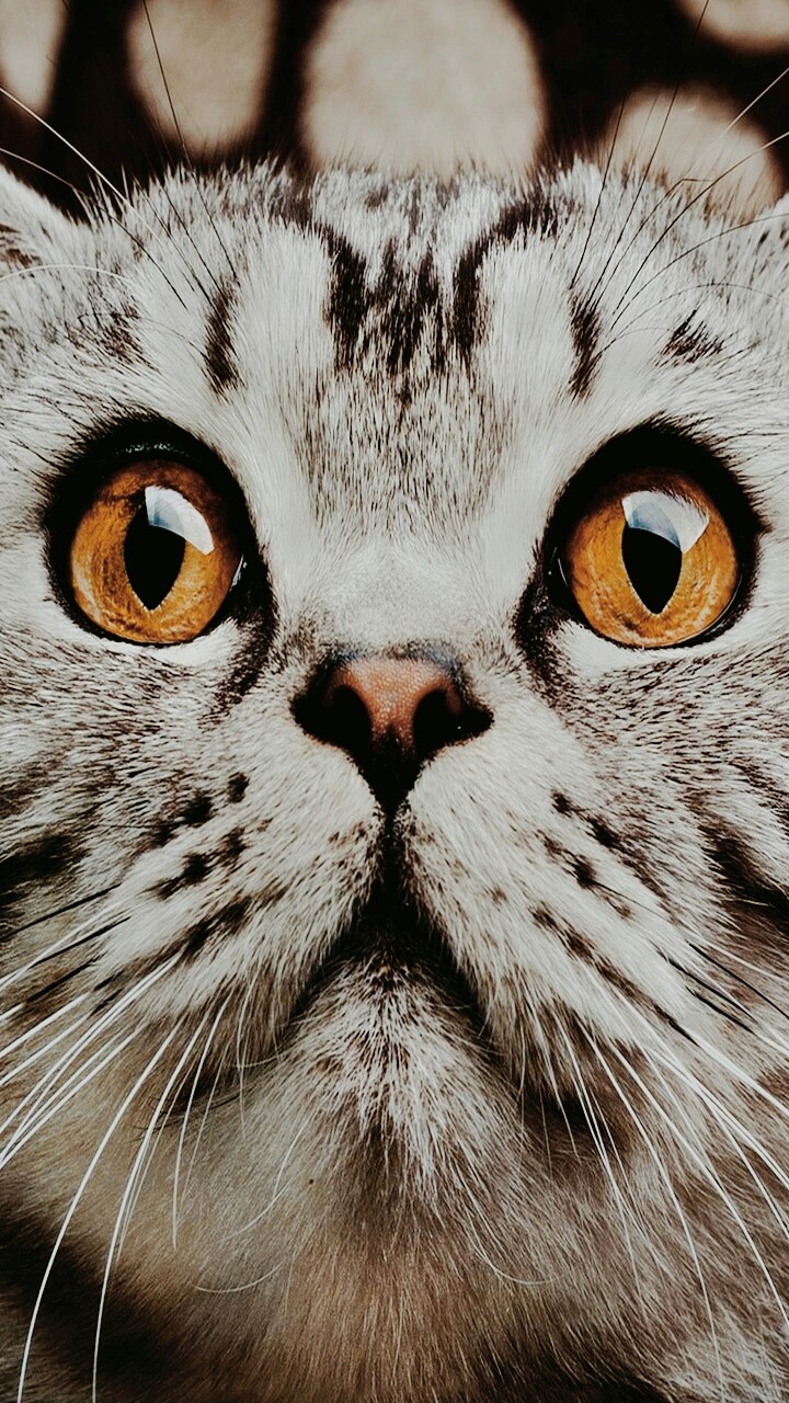 cute1